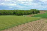 10.2 Acres State Highway 78 - Photo 15