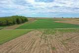 10.2 Acres State Highway 78 - Photo 16