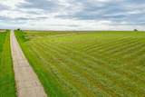 10.2 Acres State Highway 78 - Photo 17