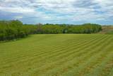 10.2 Acres State Highway 78 - Photo 2