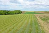 10.2 Acres State Highway 78 - Photo 4