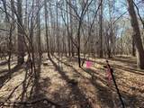 Lot 11 Ptarmigan Drive - Photo 11
