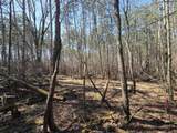 Lot 11 Ptarmigan Drive - Photo 12