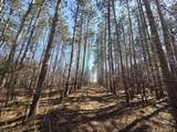 Lot 11 Ptarmigan Drive - Photo 14
