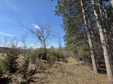 Lot 11 Ptarmigan Drive - Photo 16