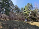 Lot 11 Ptarmigan Drive - Photo 2