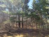 Lot 11 Ptarmigan Drive - Photo 8