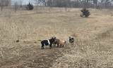 13405 State Road 81 - Photo 10