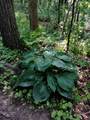 13405 State Road 81 - Photo 39