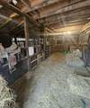 13405 State Road 81 - Photo 5