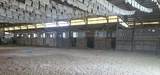 13405 State Road 81 - Photo 7