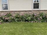 2820 Bluebird Drive - Photo 57