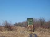  Wilcox Road - Photo 45
