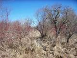 Wilcox Road - Photo 46