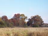  Wilcox Road - Photo 48