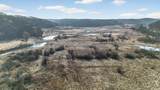 271.18 acres Zwettler/Foster Road - Photo 11