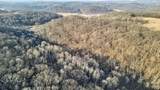271.18 acres Zwettler/Foster Road - Photo 15