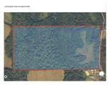+/-80ac Knobs Road - Photo 23