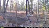 287Acres Driftwood Avenue - Photo 10