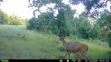 287Acres Driftwood Avenue - Photo 3