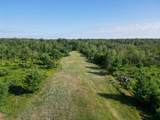 287Acres Driftwood Avenue - Photo 4