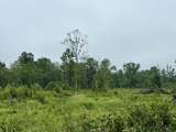 287Acres Driftwood Avenue - Photo 5