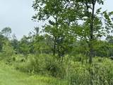 287Acres Driftwood Avenue - Photo 6