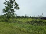 287Acres Driftwood Avenue - Photo 8