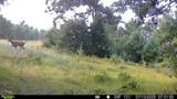 287Acres Driftwood Avenue - Photo 9