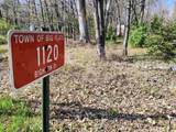 1120 Bighorn Drive - Photo 3