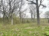 1 Bunny Trail - Photo 12