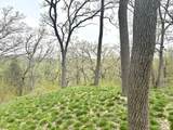 1 Bunny Trail - Photo 16