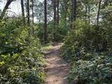 7305 Donna Drive - Photo 40