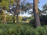 7305 Donna Drive - Photo 42