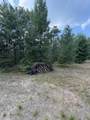 N10433 Queens Way - Photo 11