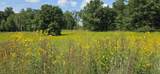 37 Cherokee Circle - Photo 45