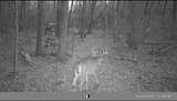 N5839 Woodland Hills Road - Photo 11