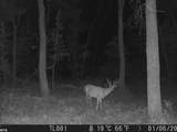 N5839 Woodland Hills Road - Photo 12