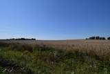 Lt44 Karau Avenue - Photo 4