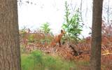 129.79 AC County Road Ff - Photo 13