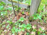 129.79 AC County Road Ff - Photo 17