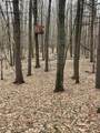 129.79 AC County Road Ff - Photo 20