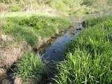 N5194 Blue Valley Rd - Photo 44