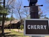 2 Cherry Trail - Photo 1