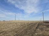 34.5 Ac Highway 18/151 - Photo 8