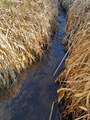 Approx 9 acres Highway 35/61 - Photo 1