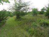 10.45 Acres Ringhand Rd - Photo 21