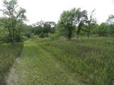 10.45 Acres Ringhand Rd - Photo 23