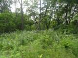 10.45 Acres Ringhand Rd - Photo 27