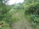 10.45 Acres Ringhand Rd - Photo 29